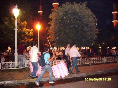 SDC12896.JPG