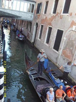 IMG_4082.JPG
