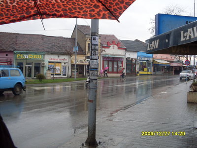 SDC12648.JPG