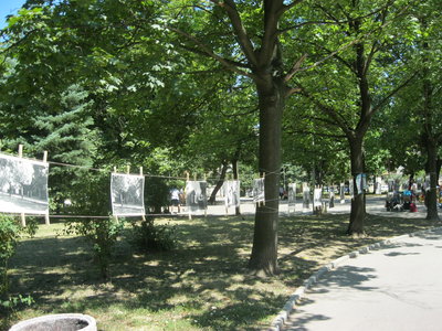 IMG_4748.JPG
