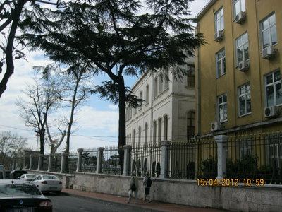 IMG_7419.JPG