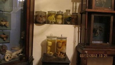 IMG_3158.JPG