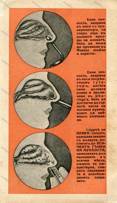 img179(1).jpg