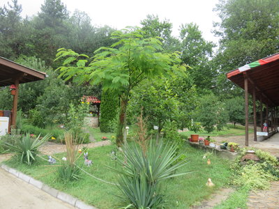 IMG_8629.JPG