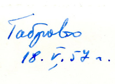 771.jpg