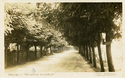 Image00003.jpg